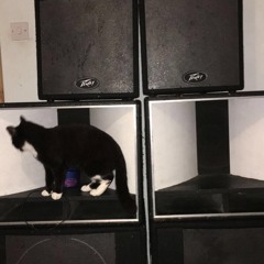 Simply the Bassiest sounds