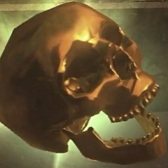 Nosebone