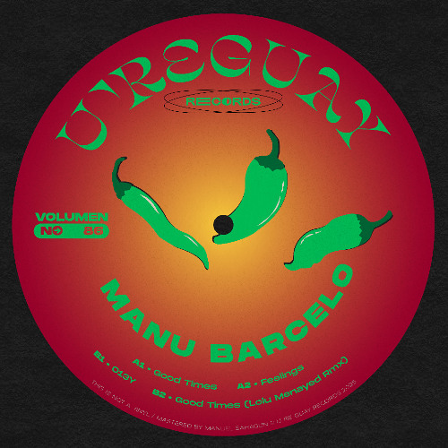 PREMIERE: Manu Barcelo - Feelings [U're Guay Records]