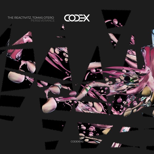 The Reactivitz, Tomas Otero - Perseverance (Original Mix)