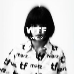 WTF VOL. 2