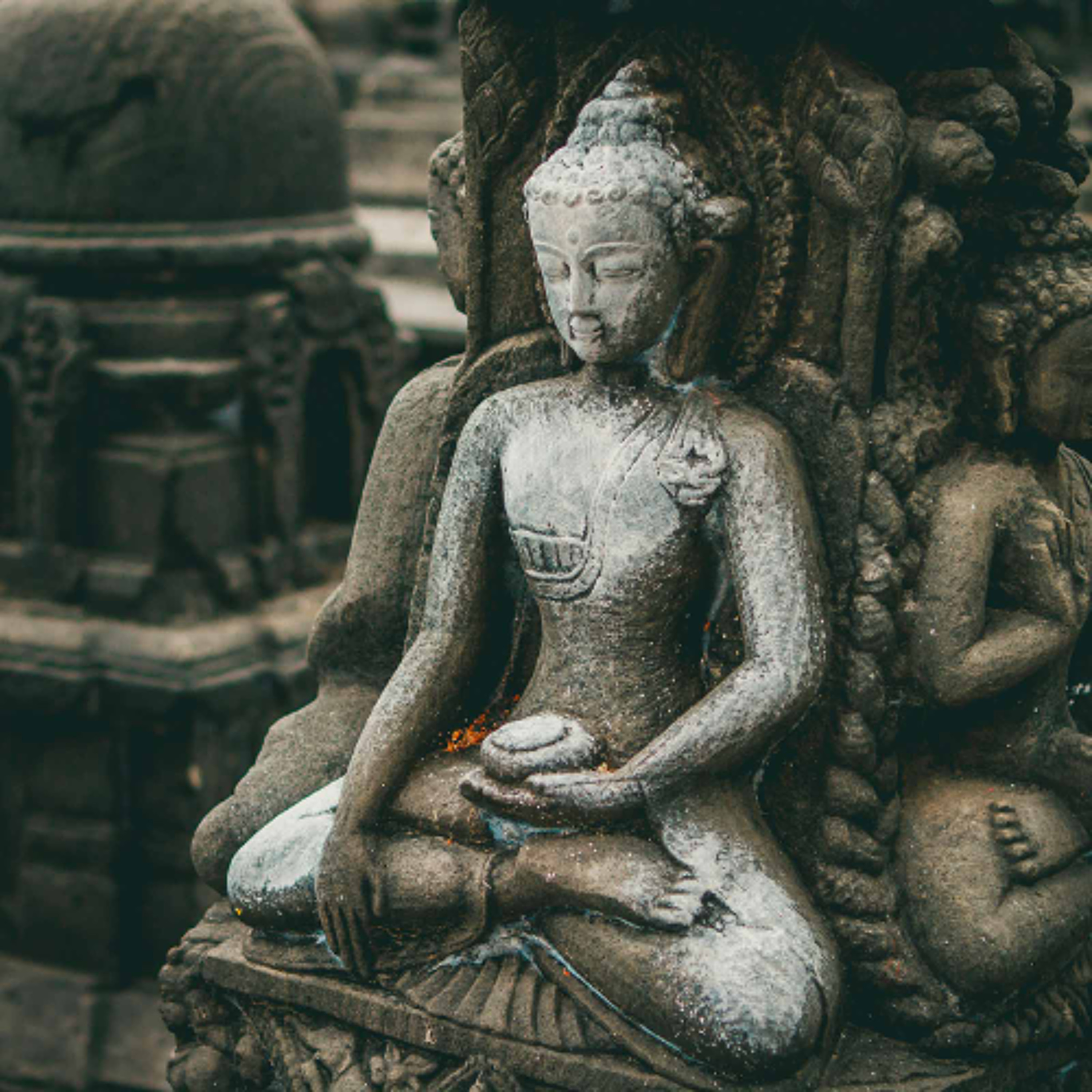 Associazione Kalyanamitta: Meditazione, Mindfulness, Buddhismo