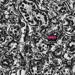 Kidi x Wili - Microbe [Prod. TrapRez, sonicbeatsz]