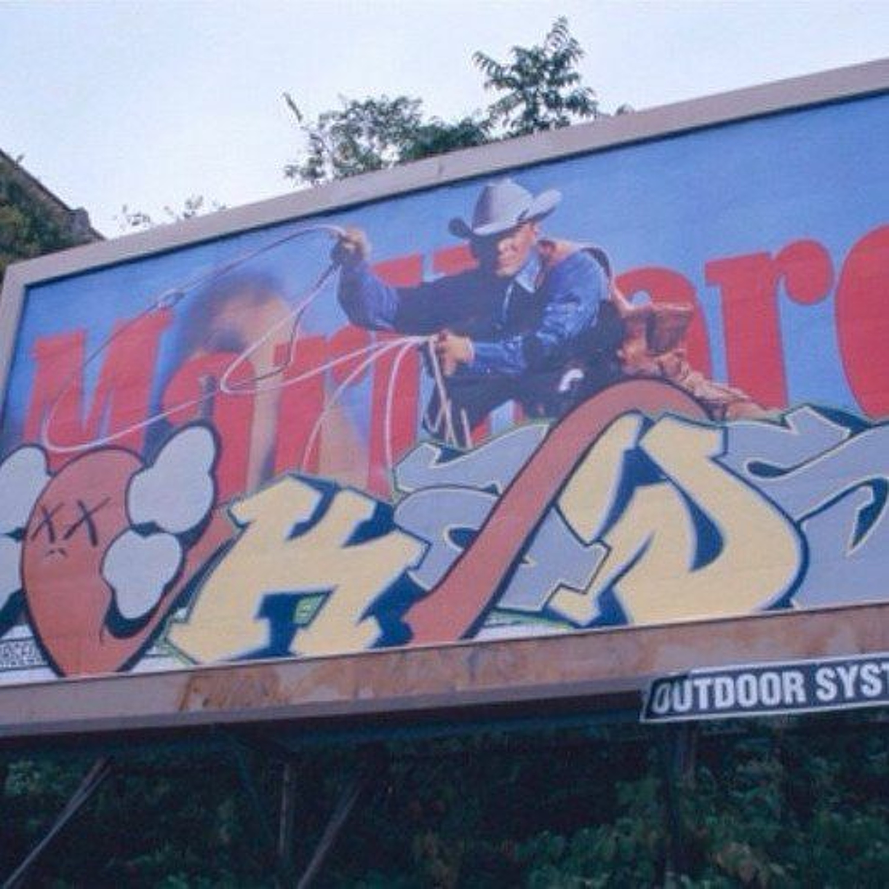Woody Vs. Sachee NY