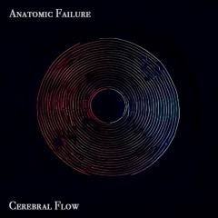 Anatomic Failure - Cerebral Flow