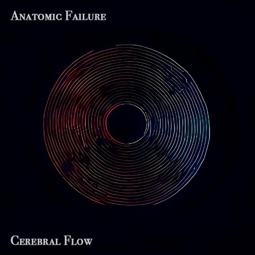 Anatomic Failure - Cerebral Flow