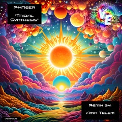 Tribal Synthesis (Amir Telem Remix)