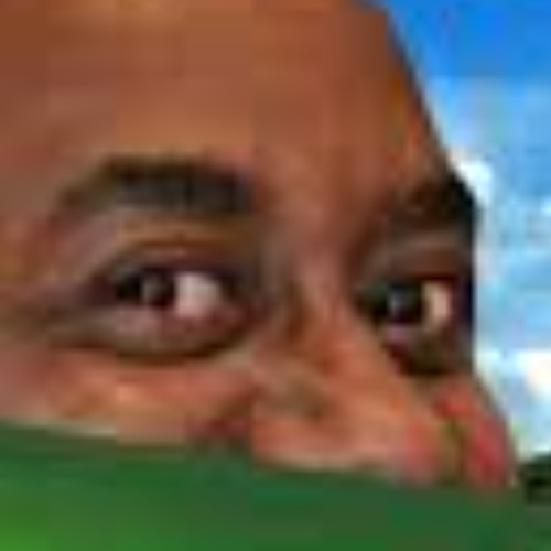 WTF IS A BALD WINDOW