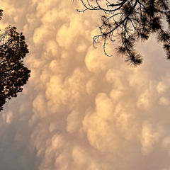 middle of october { prod . flowers in narnia }