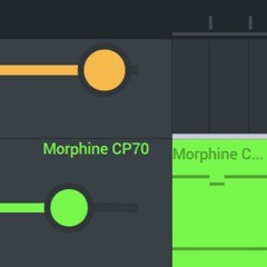 SIMULAÇÃO/SUNNY (Morphine CP70 Session)