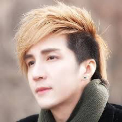 Ai Rồi Cũng Thay Đổi Remix  Lâm Chấn Khang  Tình Đậm Sâu Tình Vẫn Tàn