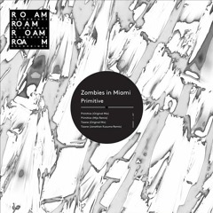 Zombies in Miami - Tizane (Jonathan Kusuma Remix)