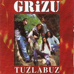 Grizu - Tuzla Buz