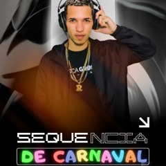 SEQUENCIA DE CARNAVAL TAMBOR VUK VUK ((DJ RL DA FRANÇA)) 2026