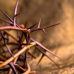 مـراثي أرمـيا النبي ج1 _ أندرو مجدي
