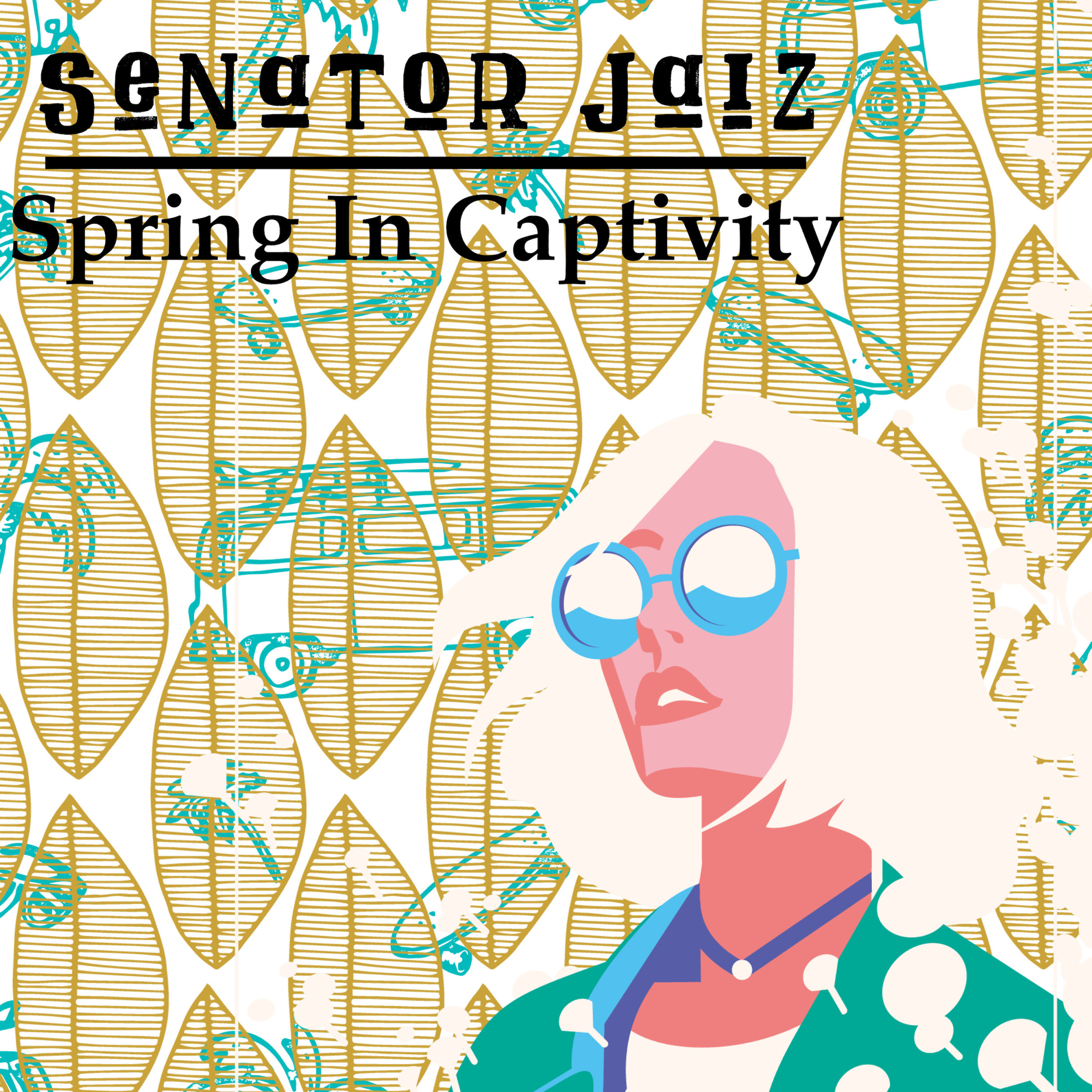 Senator Jaiz