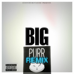 "Big Purr" CountryBoy Remix (Promotional Use Only)