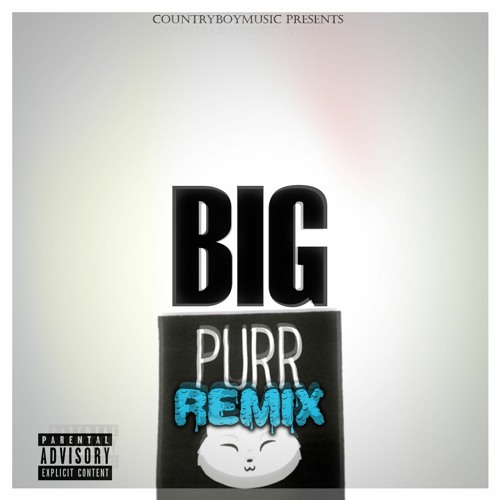 "Big Purr" CountryBoy Remix (Promotional Use Only)