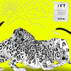 Ivy, 'sa lina' (2020). Courtesy SPA Recordings, Cologne.