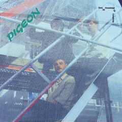 PIGEON - Bad Visions