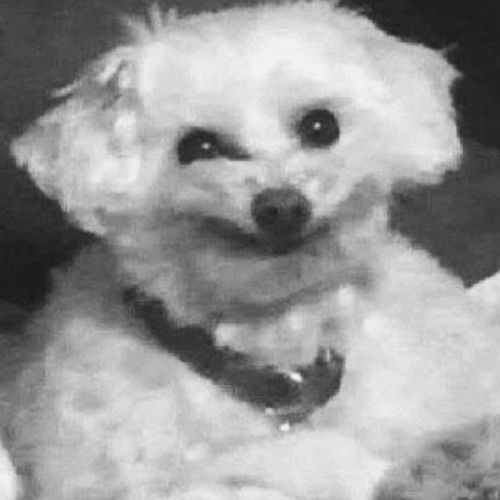 WU SERIES #2: Wishful Thinking - 10/10/2025