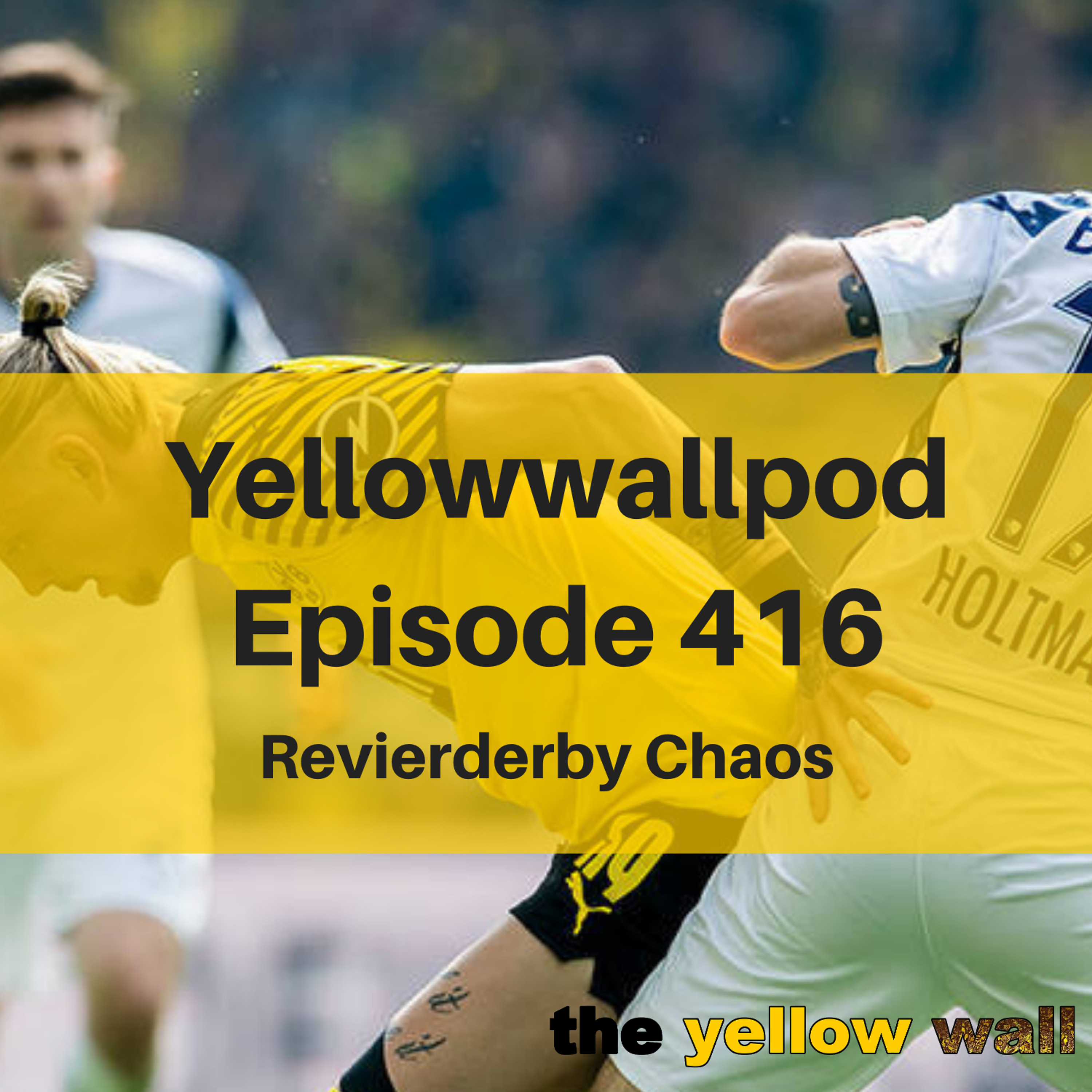 Yellowwallpod