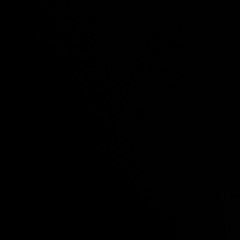 PACKED FT MINOK0 & GLOOMED