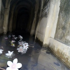 sai13 - stay tru (p. muru)