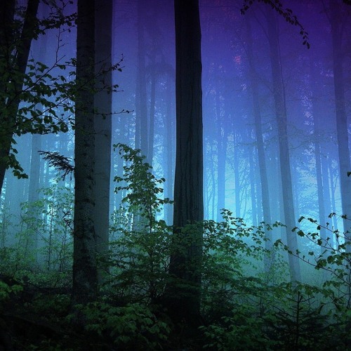 Stream Dark Forest Hd Wallpapers 1080p Galaxy by Scapkeenrecu1978 | Listen online for free on SoundCloud Stream Dark Forest Hd Wallpapers 1080p Galaxy by Scapkeenrecu1978 | Listen online for free on SoundCloud