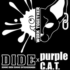 DIDE X Purple Cat.mp3