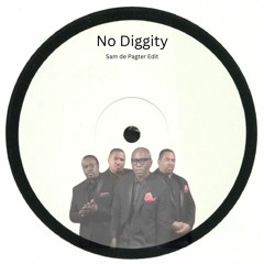 No Digity (Sam De Pagter Edit) (FREE DL)