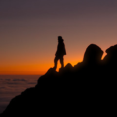 Martin Garrix - Catharina VS The Weeknd - Blinding Lights (Alexis Petryszyn Edit)