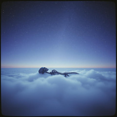 There Is No Skin In Heaven
