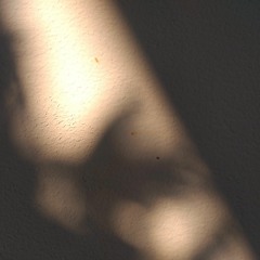 So Hot You're Hurting my Feelings - Caroline Polacheck Cover