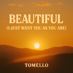 Beautiful (I Just  Want You as You Are)