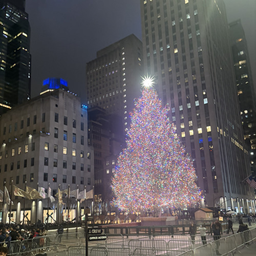 just bouncin - fyb.eli