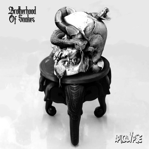 APOC25 -BROTHERHOOD OF SNAKES_ Virtue_SNAKE COMMANDER