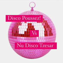 Disco Poussez! vs Nu Disco Tzesar Mix.m4a