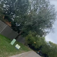 i can't b alone w my own thoughtz. prod eden. what else?