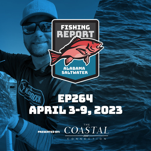 Stream Gulf Shores, Orange Beach and Mobile Bay Fishing Report for