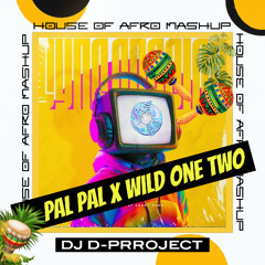 Pal Pal X Wild One Two | House Of Afro Mashup | DJ D-PRROJECT