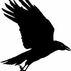 Carbinax - Black Crow White