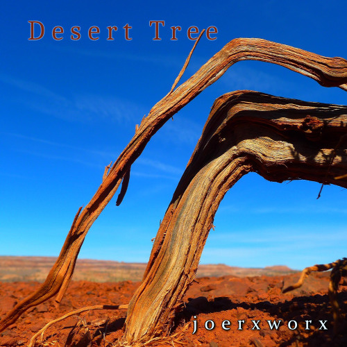 Desert Tree