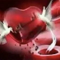 By heardead, kortekitty - Amor insierto