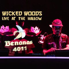 Wicked Woods 2025 - Live at The Hallow