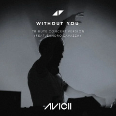 Avicii - Without You “Usher Without You Mix” ft. Sandro Cavazza