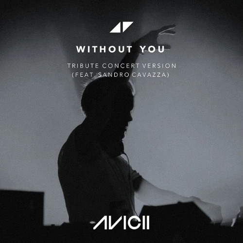 Avicii - Without You “Usher Without You Mix” ft. Sandro Cavazza