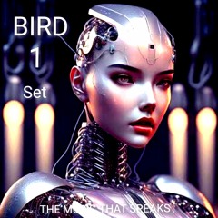 BIRD 1 - SET // SESION ESPECIAL CUMPLEAÑOS D PAU XION .   REC-2025-11-15