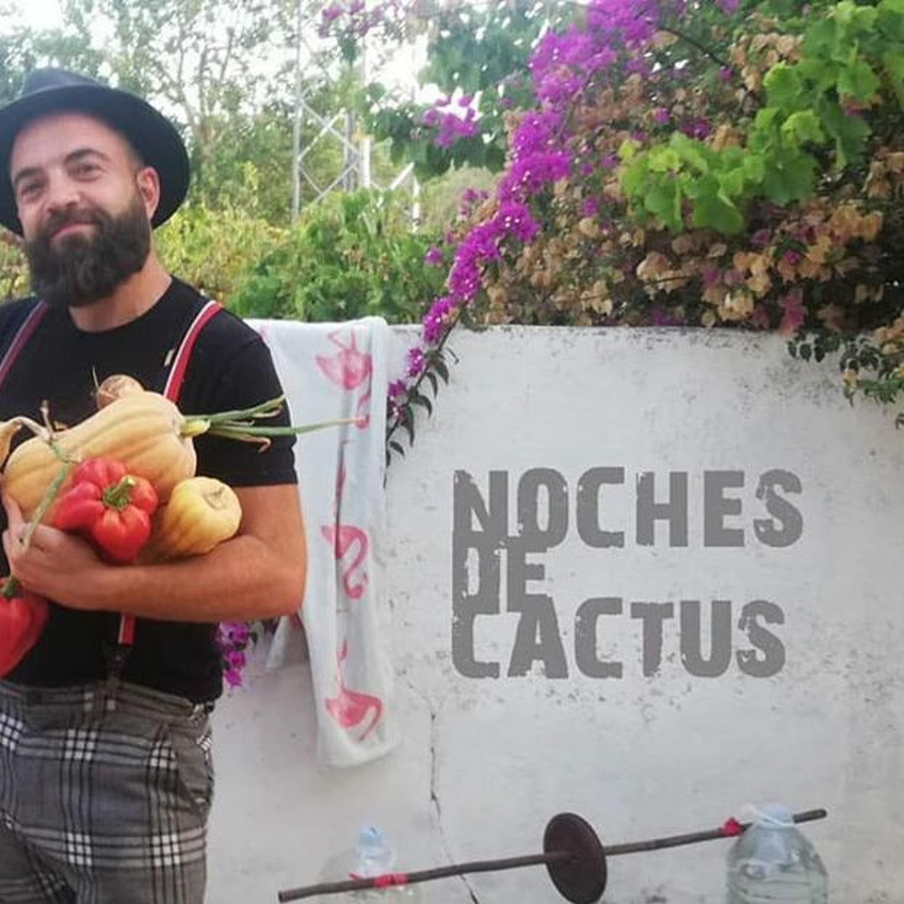 Noches de Cactus