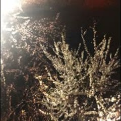 Rory in early 20s - その箱の中に入る。